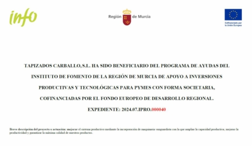 Ayudas del Instituto de Fomento de la Región de Murcia
